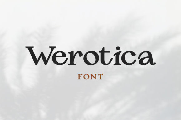 Integrating Werotica Into Your Design Workflow for Balanced Visual Impact